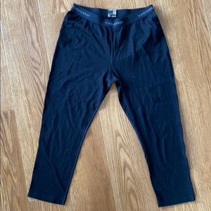 Icebreaker Base Layer Legging